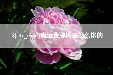 鸡西奥运金牌榜是怎么排的