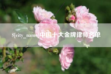 鸡西中国十大金牌律师名单