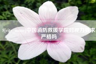 鸡西中国消防救援学院对视力要求严格吗