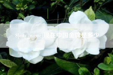 鸡西现在中国金牌是多少