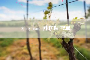 鸡西中国队 冠军