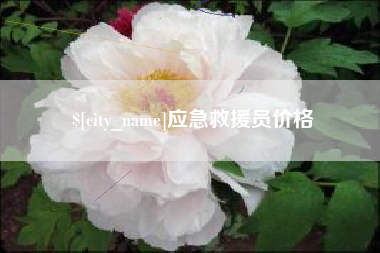 鸡西应急救援员价格