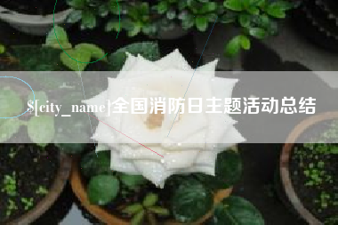 鸡西全国消防日主题活动总结