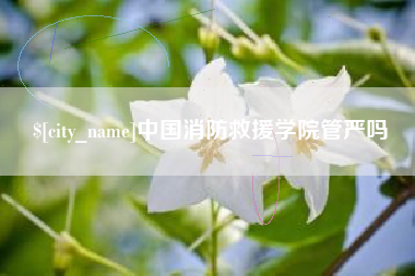 鸡西中国消防救援学院管严吗