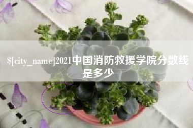 鸡西2021中国消防救援学院分数线是多少