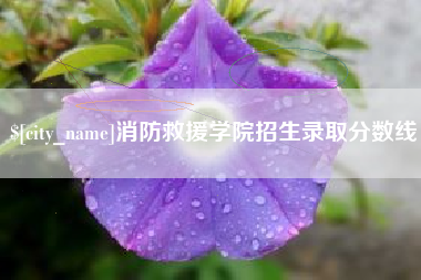 鸡西消防救援学院招生录取分数线