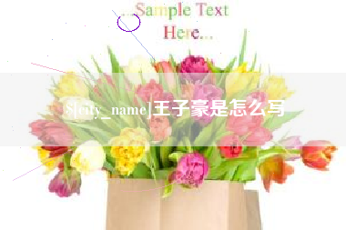 鸡西王子豪是怎么写