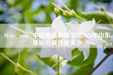 鸡西中国消防救援学院2021年山东录取分数线是多少