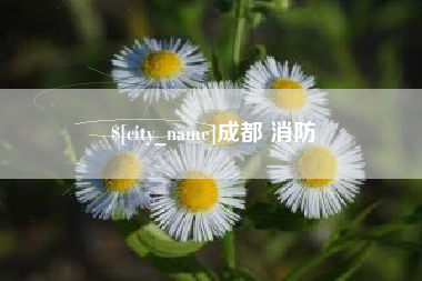 鸡西成都 消防