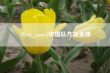 鸡西中国队九块金牌