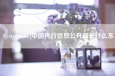 鸡西中国执行信息公开网是什么东西