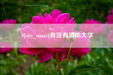 鸡西有没有消防大学