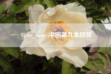 鸡西中国第九金回放