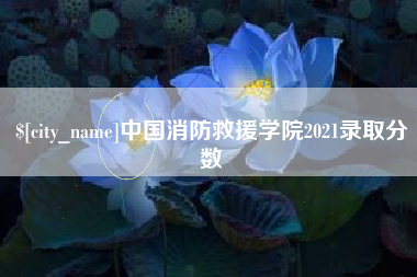 鸡西中国消防救援学院2021录取分数