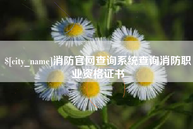 鸡西消防官网查询系统查询消防职业资格证书