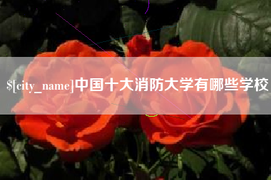 鸡西中国十大消防大学有哪些学校