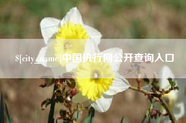 鸡西中国执行网公开查询入口