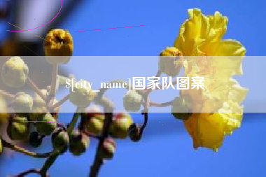 鸡西国家队图案