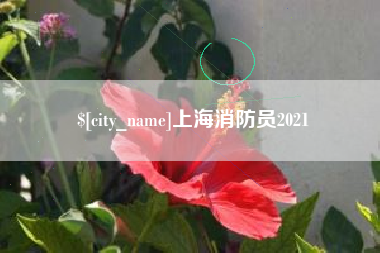 鸡西上海消防员2021