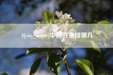 鸡西中国夺金排第几