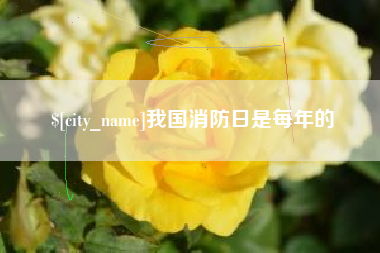 鸡西我国消防日是每年的