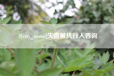 鸡西失信被执行人杳询