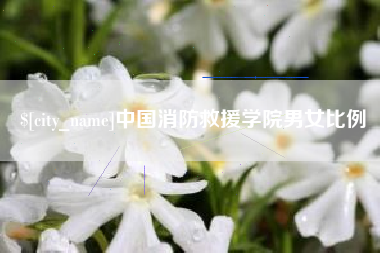 鸡西中国消防救援学院男女比例