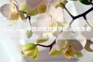 鸡西中国消防救援学院2020年录取结果