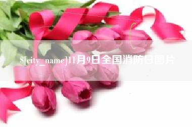 鸡西11月9日全国消防日图片