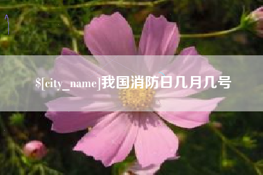 鸡西我国消防日几月几号