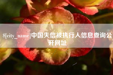 鸡西中国失信被执行人信息查询公开网址