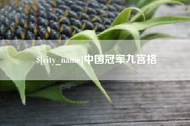 鸡西中国冠军九宫格