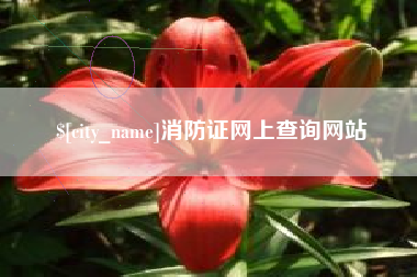 鸡西消防证网上查询网站