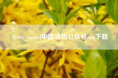 鸡西中国消防公众号app下载