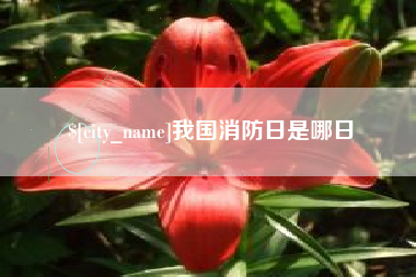 鸡西我国消防日是哪日