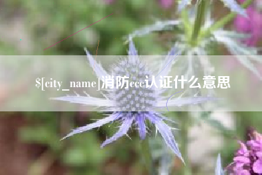 鸡西消防ccc认证什么意思