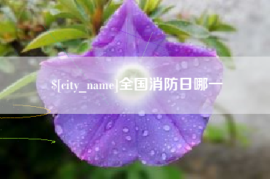 鸡西全国消防日哪一