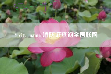 鸡西消防证查询全国联网