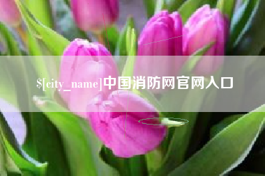 鸡西中国消防网官网入口