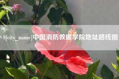 鸡西中国消防救援学院地址路线图