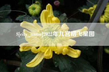 鸡西2022年九宫格飞星图