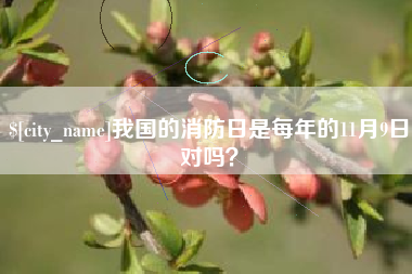 鸡西我国的消防日是每年的11月9日对吗？