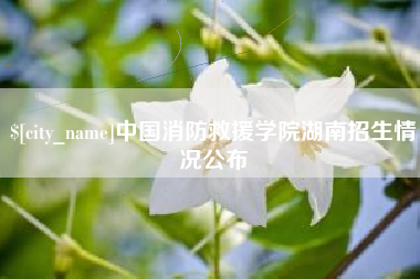 鸡西中国消防救援学院湖南招生情况公布