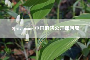 鸡西中国消防公开课回放