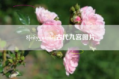鸡西古代九宫图片