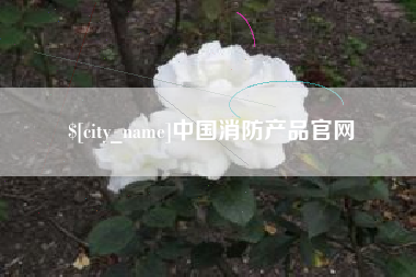 鸡西中国消防产品官网