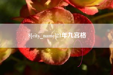 鸡西21年九宫格