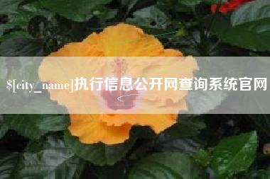 鸡西执行信息公开网查询系统官网