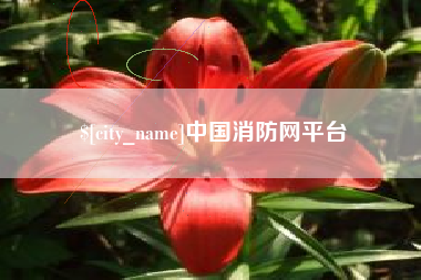 鸡西中国消防网平台