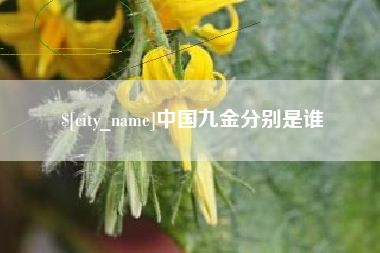 鸡西中国九金分别是谁
